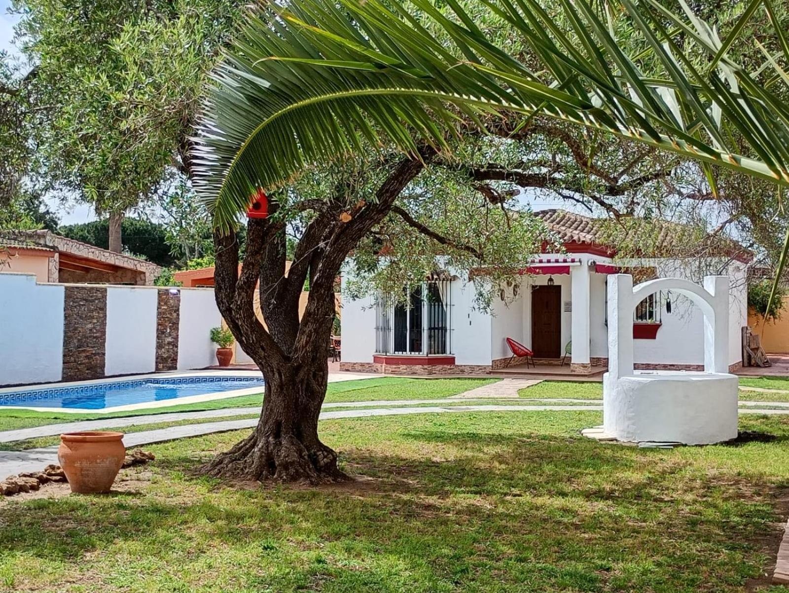 Chalet Pura Vida Chiclana de la Frontera Zewnętrze zdjęcie